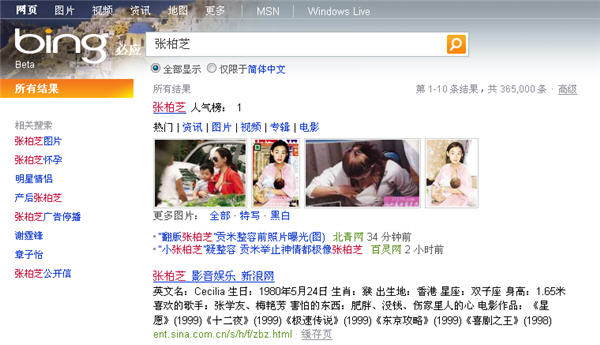 Bing cn Web Search.jpg